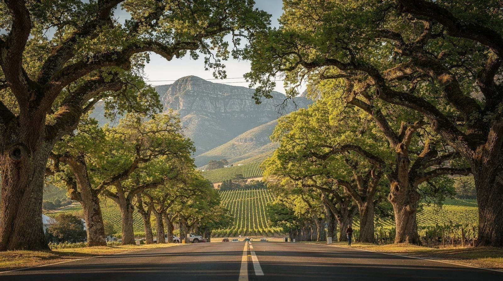 Quanto tempo dar aos Winelands