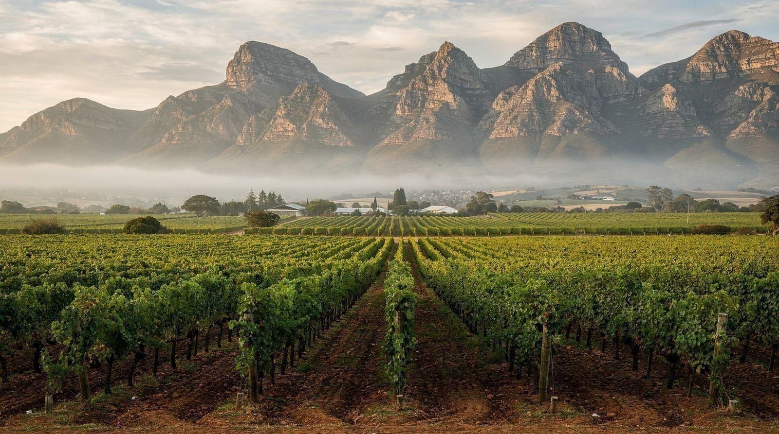 Franschhoek