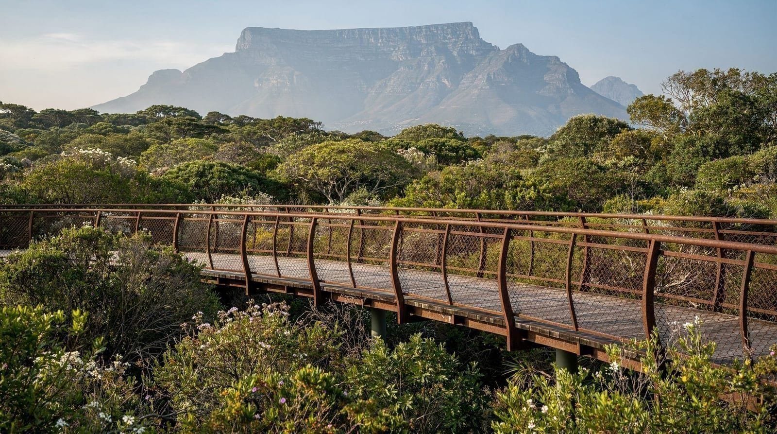Kirstenbosch Botanical Garden