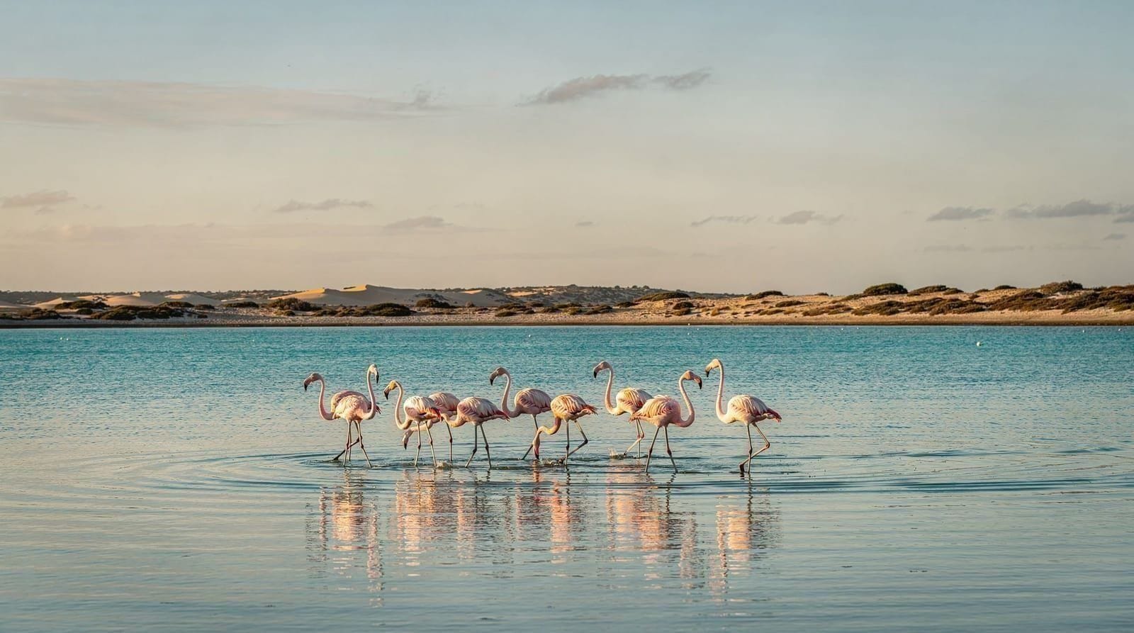 Langebaan und der West Coast National Park