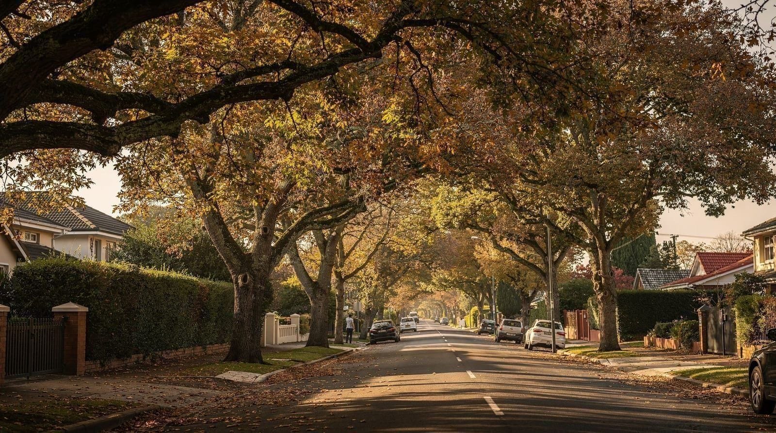 Newlands und die Southern Suburbs