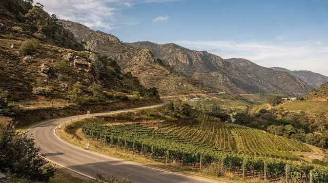 The best day trips from Cape Town