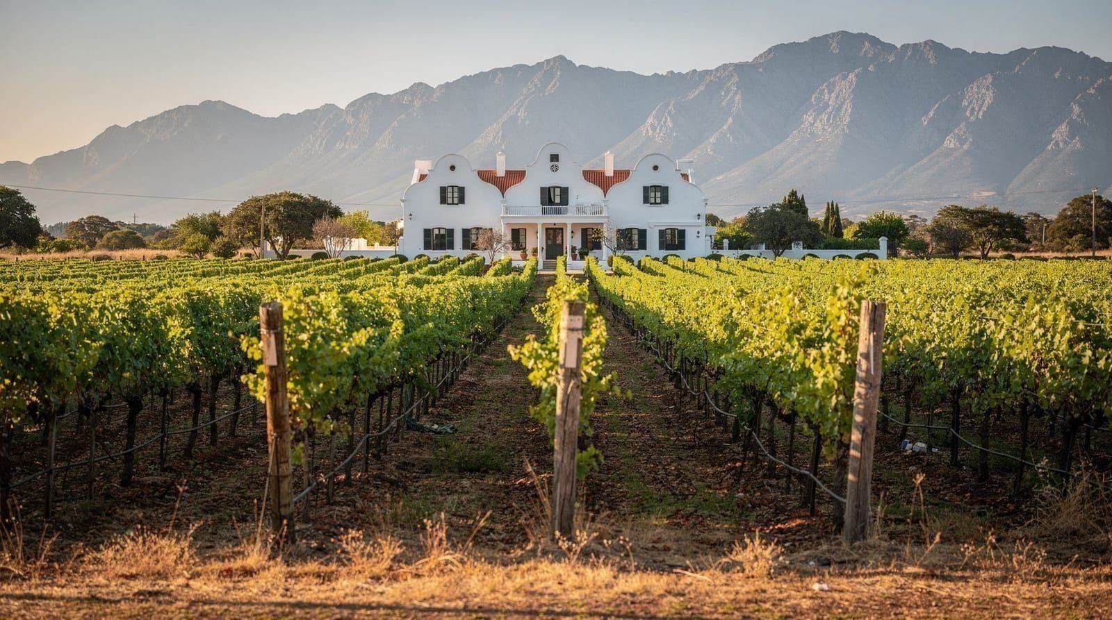 De Cape Winelands voor eerstebezoekers