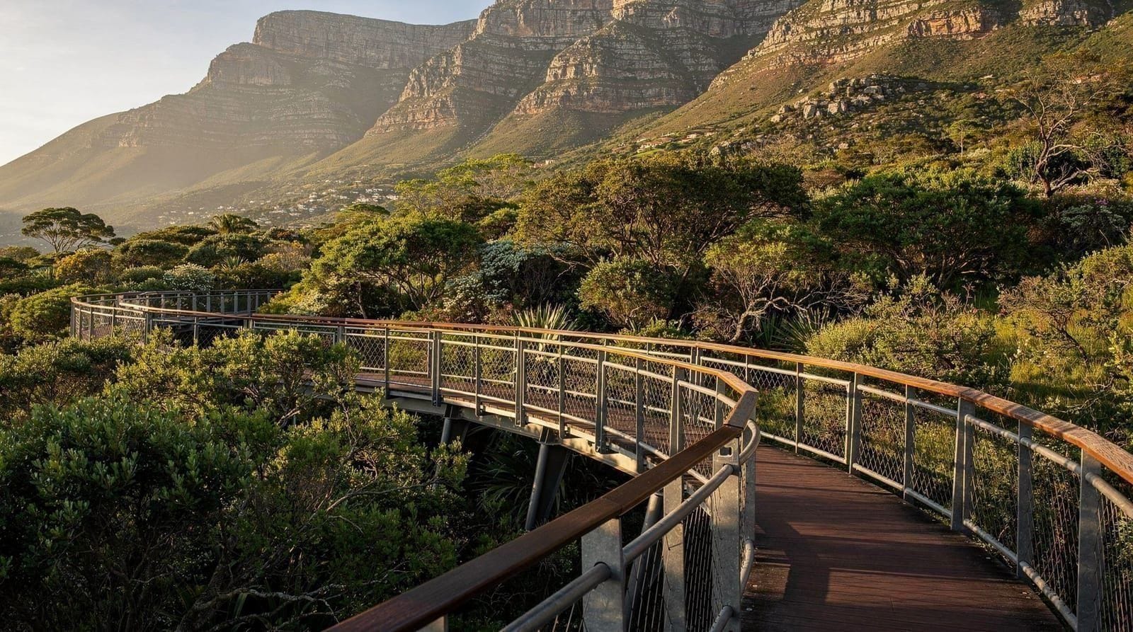 Kirstenbosch Botanische Tuin