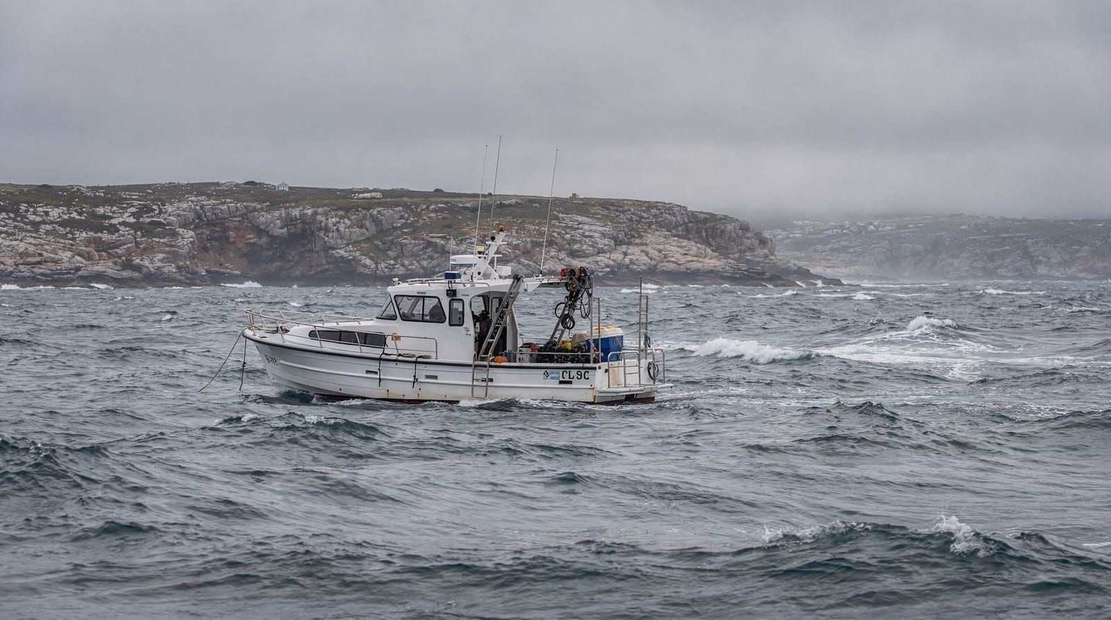 Shark cage diving in Gansbaai