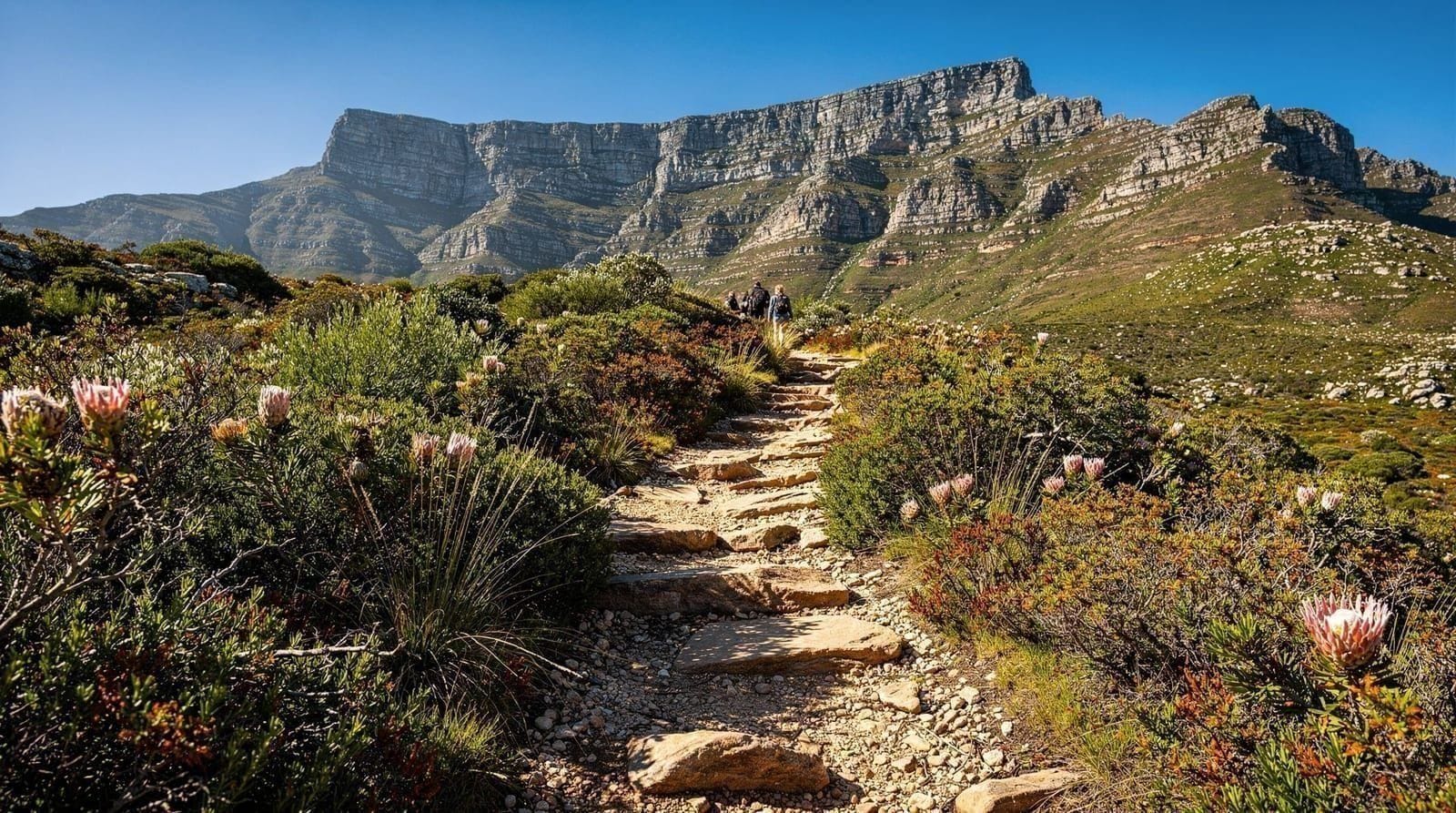 Rutas de senderismo en Table Mountain comparadas