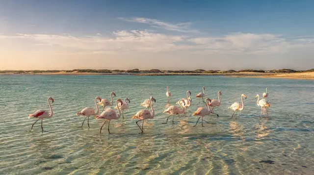 West Coast National Park and Langebaan