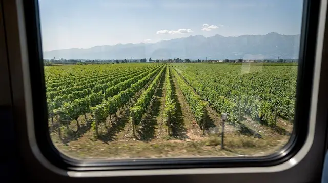 Doing the Winelands without driving
