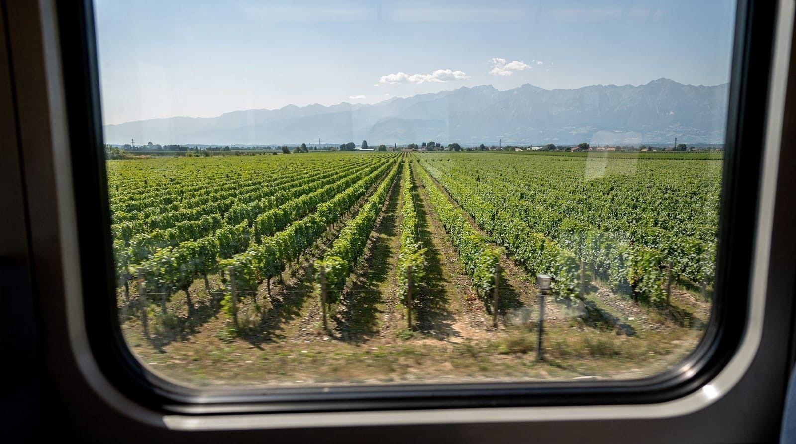 Doing the Winelands without driving